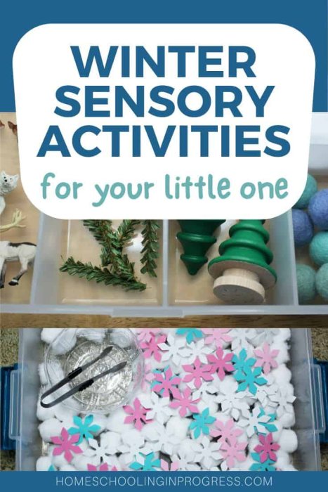 Winter Sensory Bins & Activities for Your Toddlers and Preschoolers